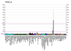 PBB GE CRP 37020 at fs.png