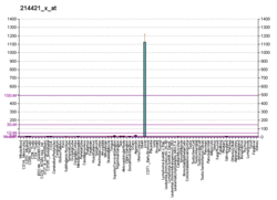 PBB GE CYP2C9 214421 x at fs.png