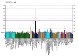 PBB GE MDM2 217373 x at fs.png