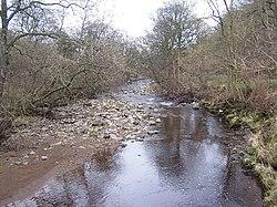 River Cover from St. Simons Bridge.jpg