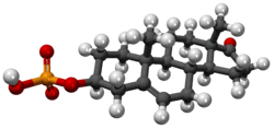 Sulfato de dehidroepiandrosterona3D.png
