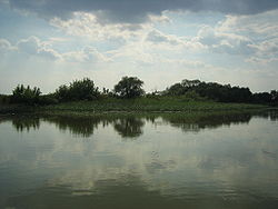 Tisza-tó.jpg