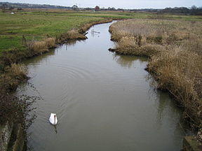 River Yar - geograph.org.uk - 120713.jpg