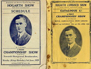 Hogarth1929PDimages.jpg