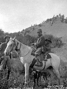 Chilcotin horse.jpg