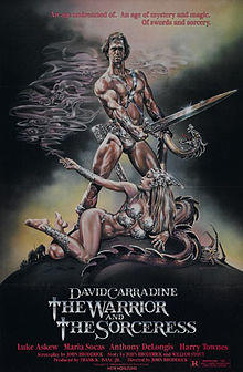 Warrior and the sorceressposter.jpg