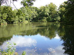 Orchardleigh Lake3.JPG