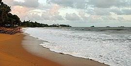 Cayenne Anse de Montabo 2013.jpg