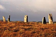Calanais Stones III - geograph.org.uk - 1259561.jpg