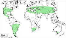Carte lycium.jpg