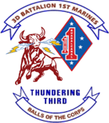 USMC - 3RD BN-1ST MAR 3.png