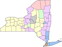 Largest ancestry of each New York county (en).svg