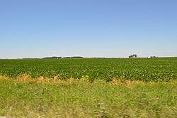 Fields west of Beaverville