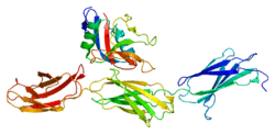 Protein ACAN PDB 1tdq.png
