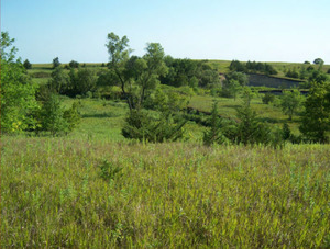 Sioux positions at Wood Lake Battlefield.png