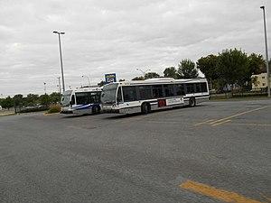 Terminus Cartier 01.JPG