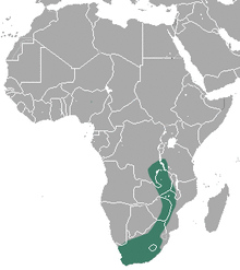 Lesser Dwarf Shrew area.png