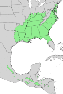 Liquidambar styraciflua range map 4.png