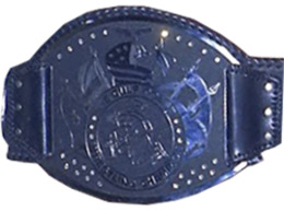 NWA Gulf Coast Heavyweight Championship.png