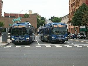 CTtransit NET A44 and A39.jpg