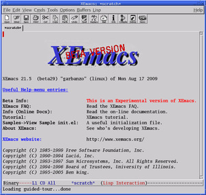 XEmacs 21.5.29 (beta), featuring antialiased fonts