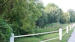 Pond to the east of Sicklinghall (9th August 2017) 001.jpg