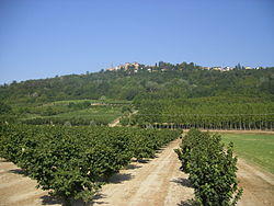 I-CN-Magliano Alfieri.JPG