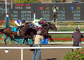2007HollywoodGoldCup.jpg