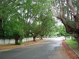 Laurel Avenue Chelmer Queensland.jpg