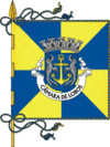 Flag of Câmara dos Lobos