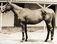 Alcibiades (USA).jpg