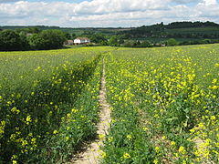Footpath to Eynsford - geograph.org.uk - 1314950.jpg