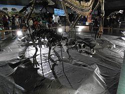 Rhabdodon priscus mount.jpg