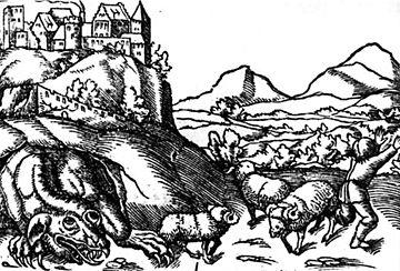 Münster wawelski.jpg