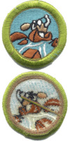 Whitewater merit badge, type I.png