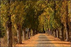 Camporredondo. Soria. (21602095834).jpg