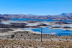 Near Lago Chungará, Chile (20929175651).jpg