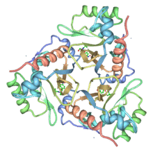 Chloramphenicol acetyltransferase 3CLA transparent.png