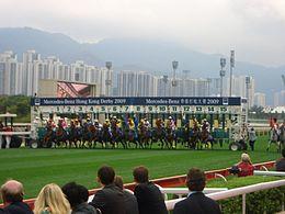 2009 Hong Kong Derby.JPG