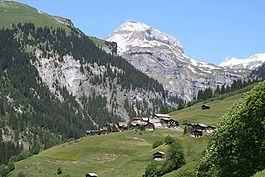 Pigniu.jpg