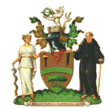 Club badge