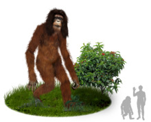 Orang Pendek.png