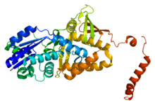 Protein ASS1 PDB 2nz2.png