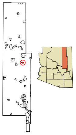 Location of Indian Wells in Navajo County, Arizona.