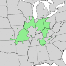 Fraxinus quadrangulata range map 3.png