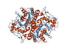 PDB 1dj3 EBI.jpg