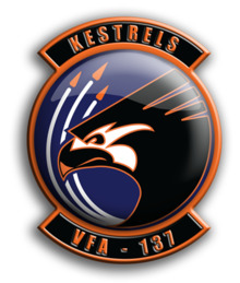 Strike Fighter Squadron 137 (US Navy) insignia 2012.png