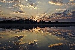 Sunburst (121548497).jpeg