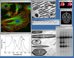 Screenshot of ImageJ