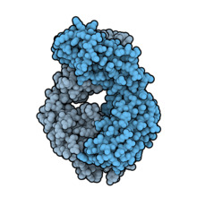Ofatumumab 3GIZ.png